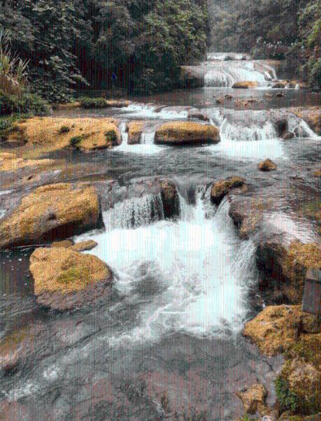 沪江开心词场